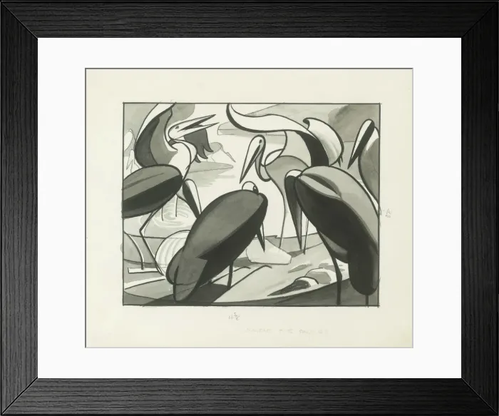 Framed Print : Marabou Storks - diagram Framed Print : Marabou Storks - diagram