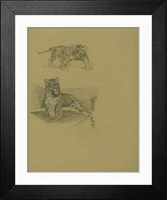 Framed Print : Leopard on Ledge and Tiger Cub Framed Print : Leopard on Ledge and Tiger Cub