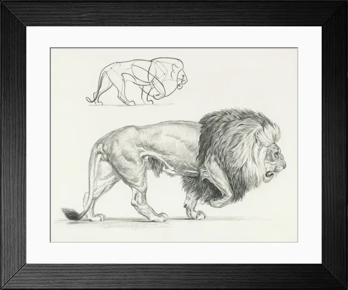 Framed Print : The Lion Walks Framed Print : The Lion Walks