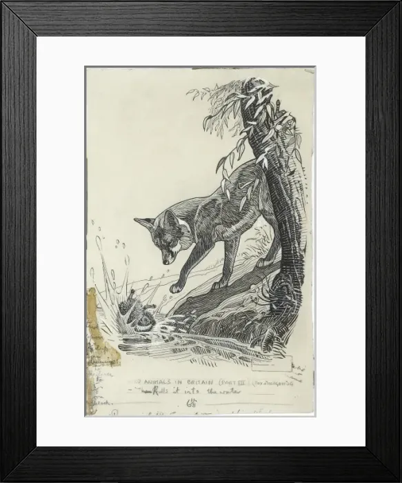 Framed Print : Fox and Hedgehog Framed Print : Fox and Hedgehog