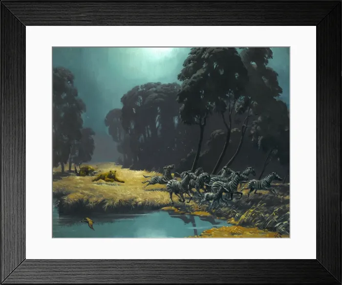 Framed Print : Lions hunting zebra Framed Print : Lions hunting zebra