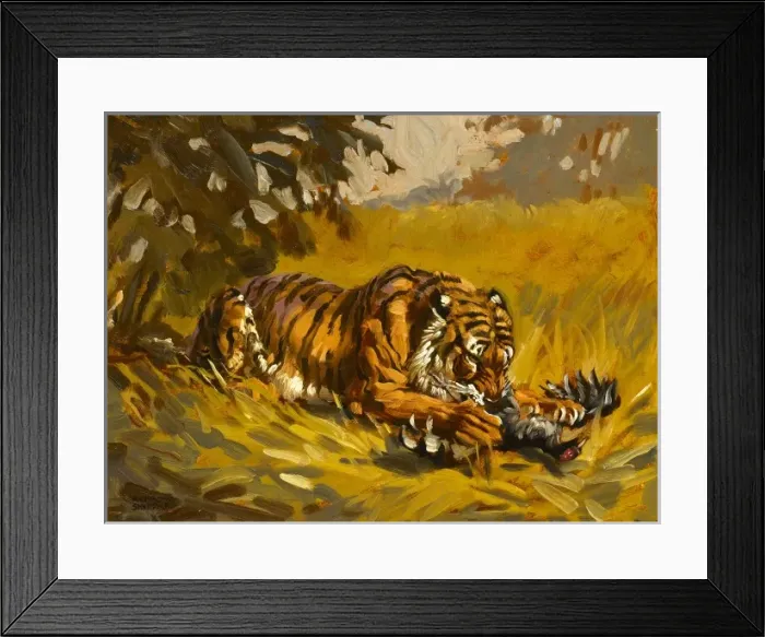 Framed Print : Tiger with a kill Framed Print : Tiger with a kill