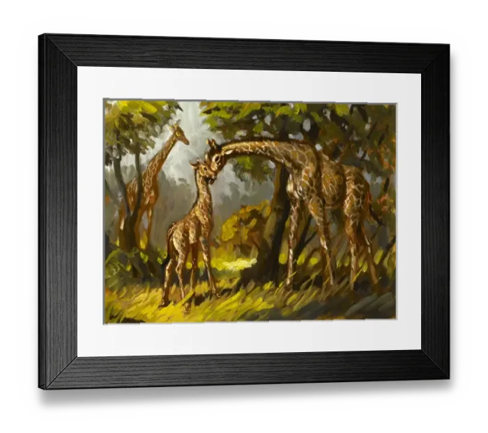 Framed Print : Giraffes. A family of giraffes. A baby with its mother Framed Print : Giraffes. A family of giraffes. A baby with its mother