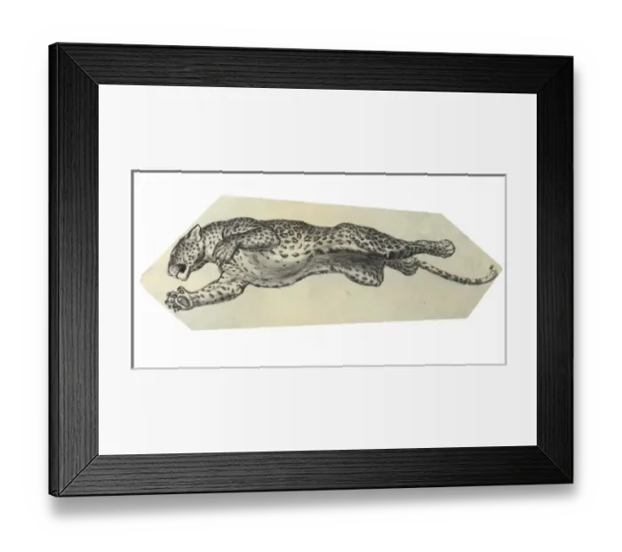 Framed Print : Leaping leopard Framed Print : Leaping leopard