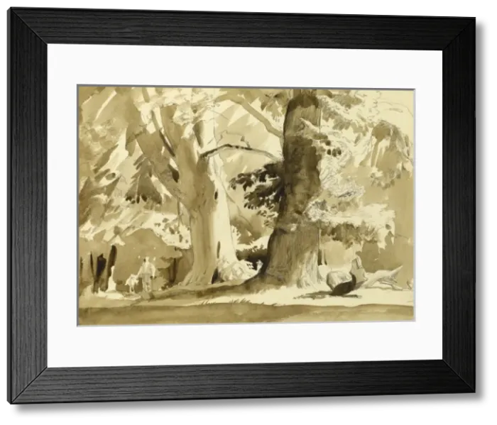 Framed Print : Mighty trees Framed Print : Mighty trees