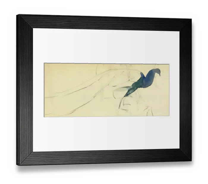 Framed Print : Peacock. A study of a peacock Framed Print : Peacock. A study of a peacock