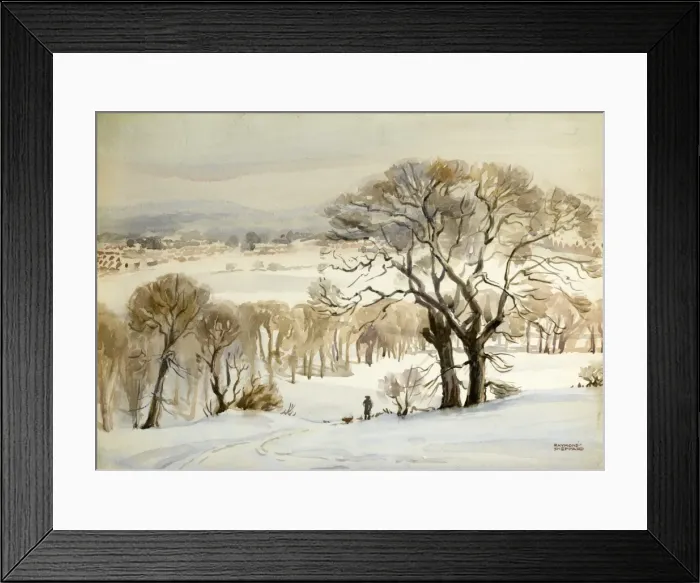 Framed Print : Snowy landscape