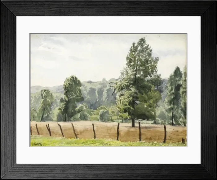 Framed Print : British countryside