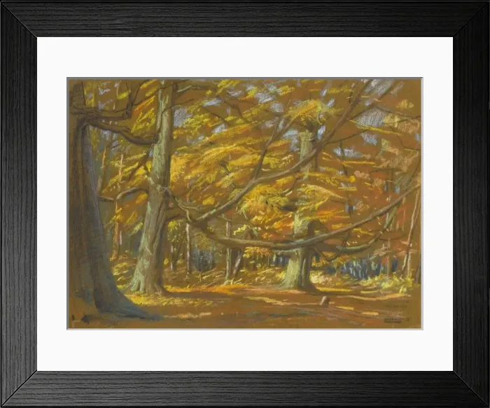 Framed Print : Autumn woodland scene Framed Print : Autumn woodland scene