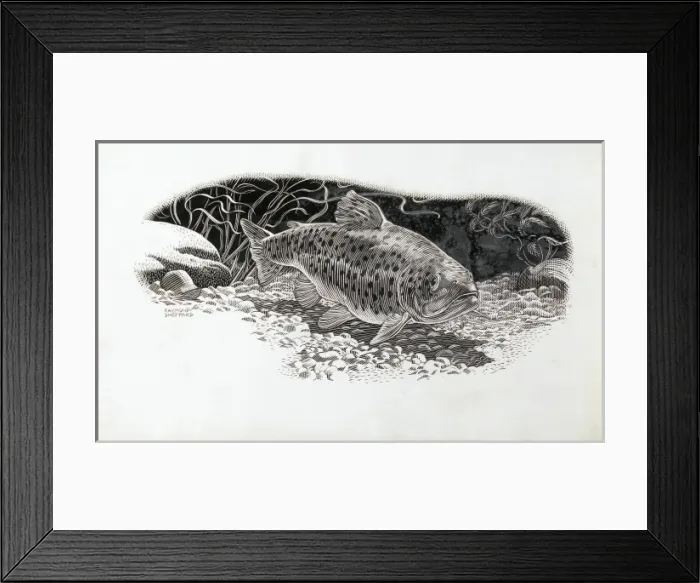 Framed Print : A fish. A river fish underwater Framed Print : A fish. A river fish underwater