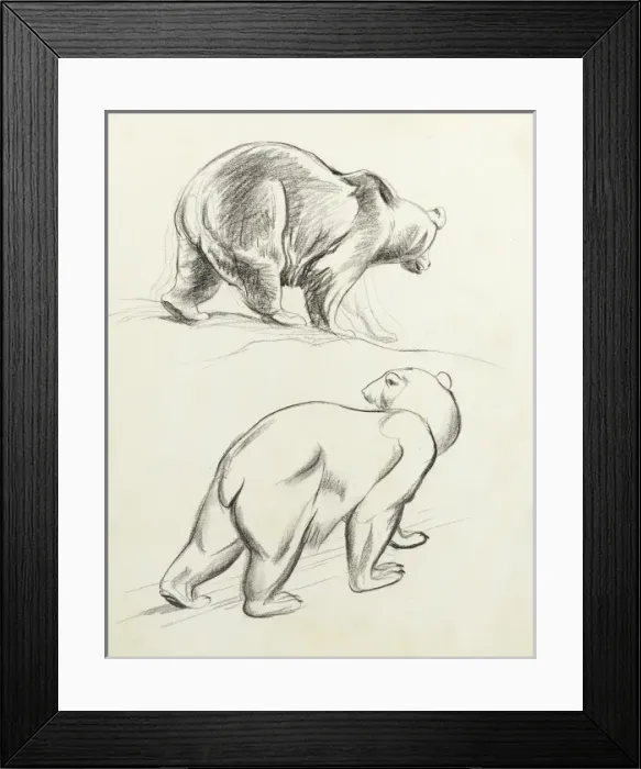 Framed Print : Polar bears Framed Print : Polar bears