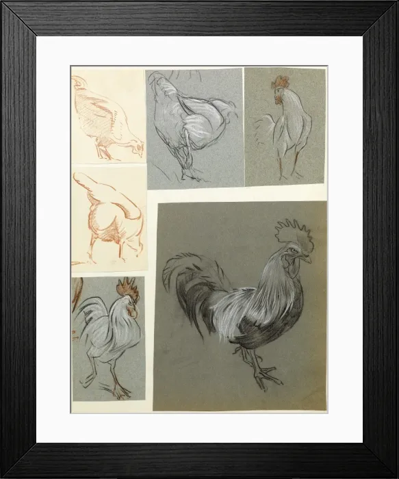 Framed Print : Hens and cockerels Framed Print : Hens and cockerels