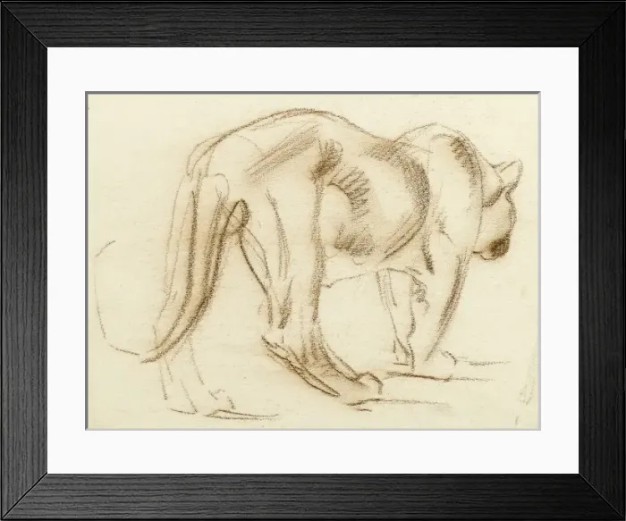 Framed Print : Big cat. Sketch of the back view of a big cat, possibly a puma Framed Print : Big cat. Sketch of the back view of a big cat, possibly a puma