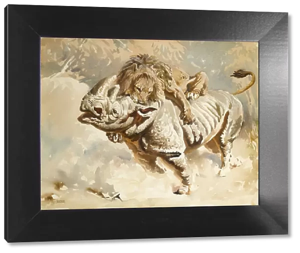 A lion attacking a rhino