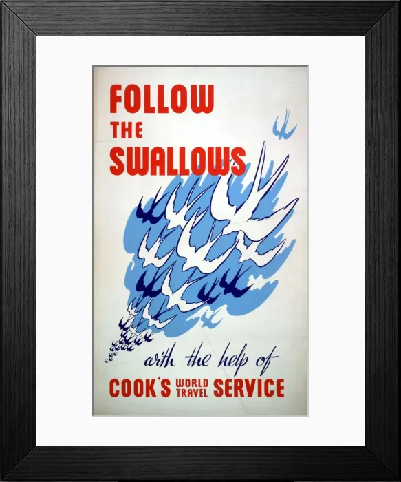 Framed Print : Follow the Swallows, Cooks World Travel Service Framed Print : Follow the Swallows, Cooks World Travel Service