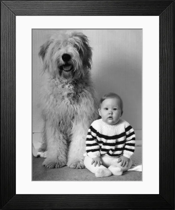 Framed Print : Small baby with large dog Framed Print : Small baby with large dog