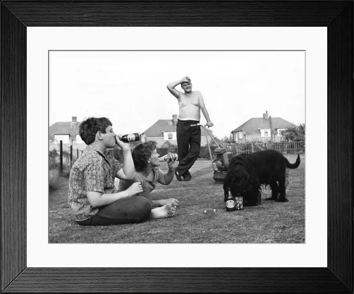 Framed Print : Suburban Sunday in the back garden Framed Print : Suburban Sunday in the back garden