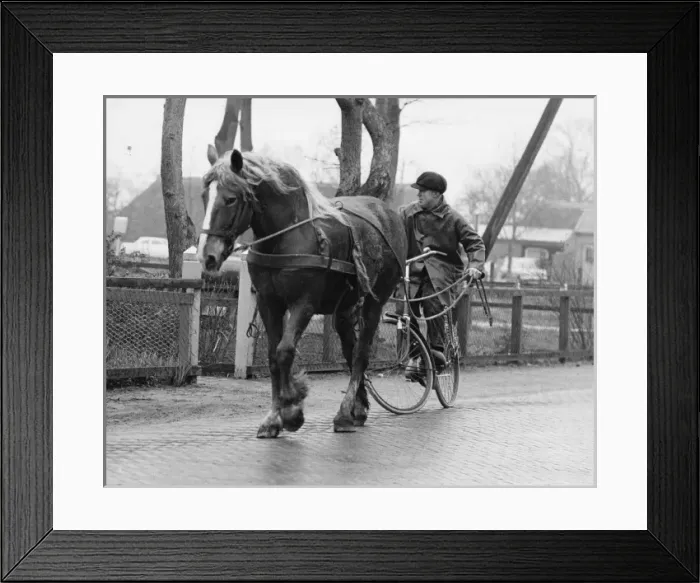 Framed Print : Man on a bicycle, holding the reins of his horse Framed Print : Man on a bicycle, holding the reins of his horse