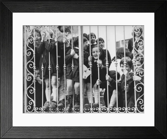 Framed Print : Group of children looking through school gates Framed Print : Group of children looking through school gates