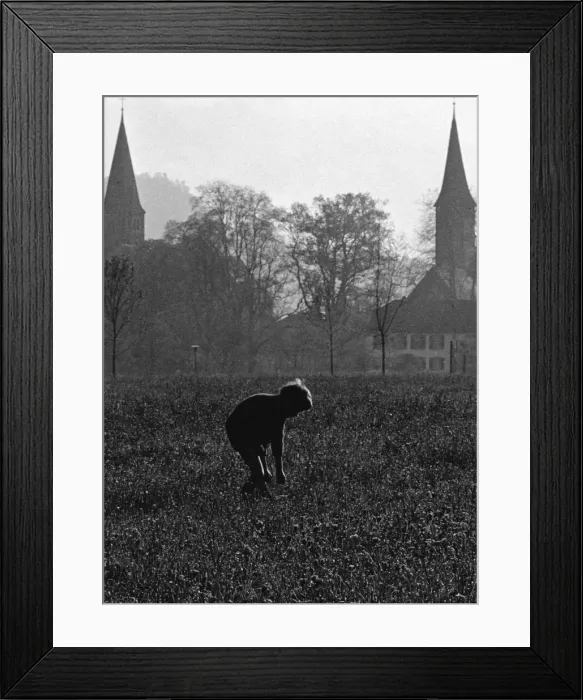Framed Print : Little boy in a field on a misty day Framed Print : Little boy in a field on a misty day