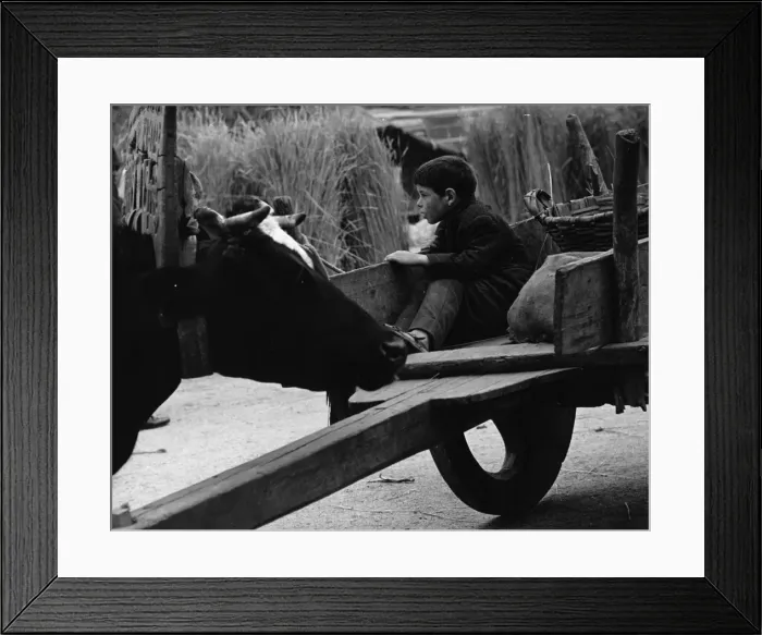 Framed Print : Boy on a farm, sitting in the back of a cart Framed Print : Boy on a farm, sitting in the back of a cart