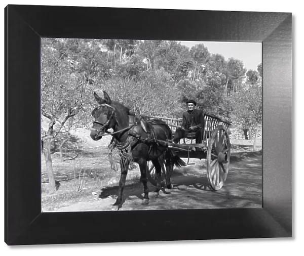 Man with horse and cart on a country road