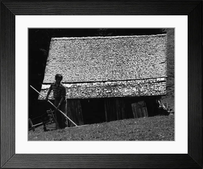 Framed Print : Man tending the grass near a chalet in Switzerland Framed Print : Man tending the grass near a chalet in Switzerland