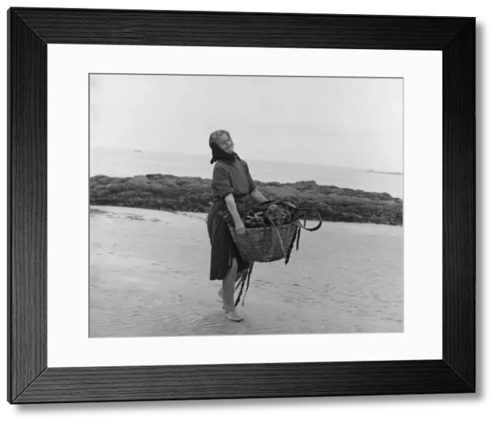 Framed Print : Woman carrying basket of seaweed along a beach Framed Print : Woman carrying basket of seaweed along a beach