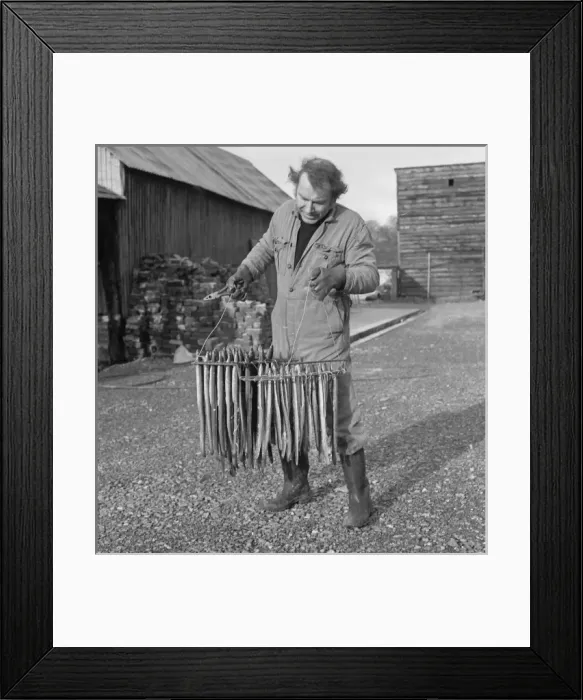 Framed Print : Man with fish for smoking Framed Print : Man with fish for smoking