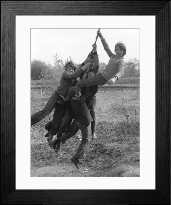 Framed Print : Five boys swinging on a rope Framed Print : Five boys swinging on a rope