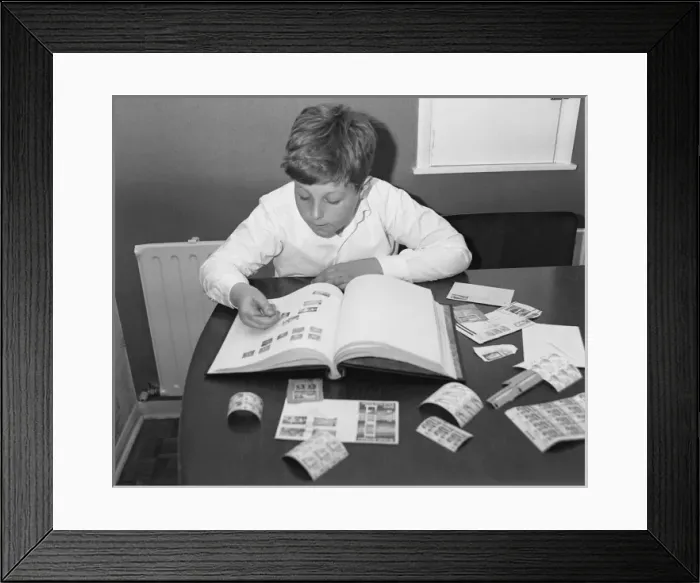 Framed Print : Little boy working on his stamp collection Framed Print : Little boy working on his stamp collection