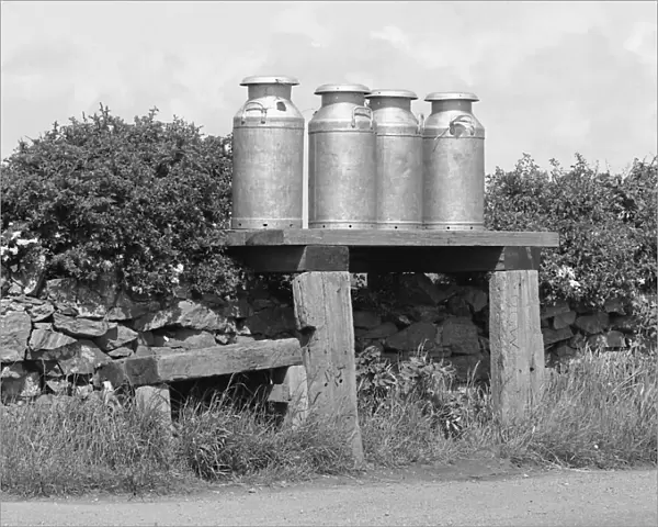 Four milk churns at the side of a country road