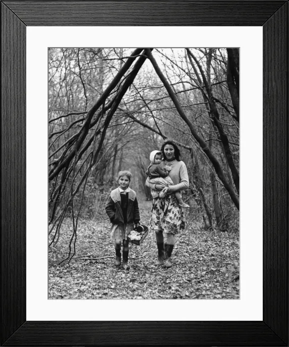 Framed Print : Gipsy family walking through a wood, Surrey Framed Print : Gipsy family walking through a wood, Surrey