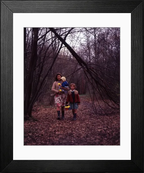 Framed Print : Gipsy family walking through a wood, Surrey Framed Print : Gipsy family walking through a wood, Surrey