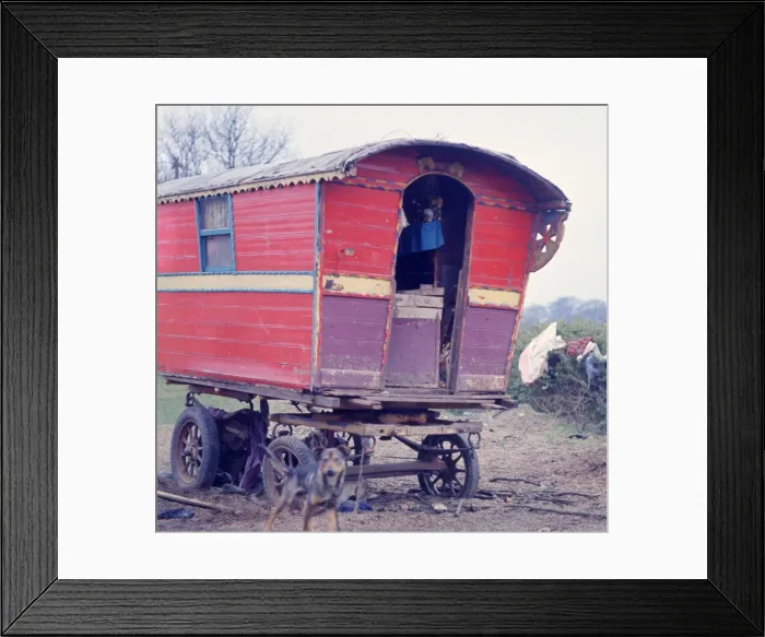 Framed Print : Colourful but shabby gipsy caravan Framed Print : Colourful but shabby gipsy caravan