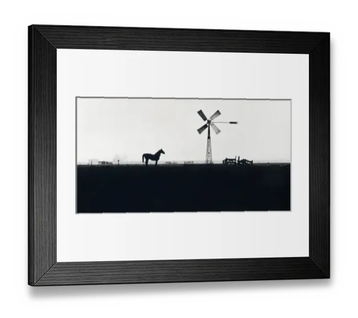 Framed Print : Horse and wind tower in a misty field Framed Print : Horse and wind tower in a misty field