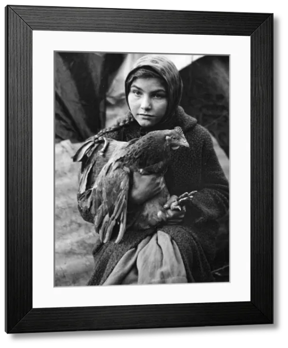 Framed Print : Gipsy girl holding a chicken, Charlwood, Surrey Framed Print : Gipsy girl holding a chicken, Charlwood, Surrey