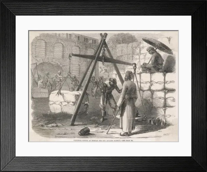 Framed Print : Weighing cotton, India Framed Print : Weighing cotton, India