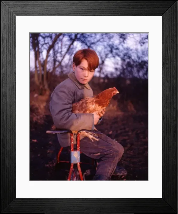 Framed Print : Red-haired gipsy boy with a chicken Framed Print : Red-haired gipsy boy with a chicken