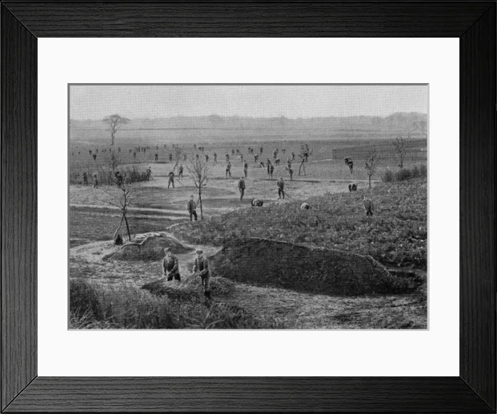 Framed Print : Vegetable grounds, NIPRCC East Harling, Norfolk Framed Print : Vegetable grounds, NIPRCC East Harling, Norfolk