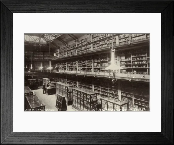 Framed Print : Medical museum, St Bartholomews Hospital, London Framed Print : Medical museum, St Bartholomews Hospital, London