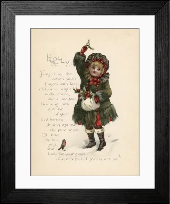 Framed Print : Holly / Language of Flowers Framed Print : Holly / Language of Flowers