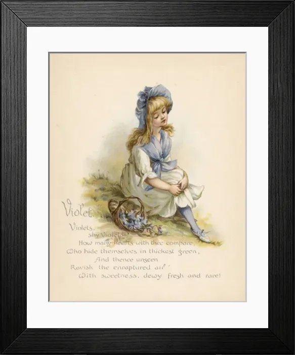 Framed Print : Violet / Language of Flowers Framed Print : Violet / Language of Flowers