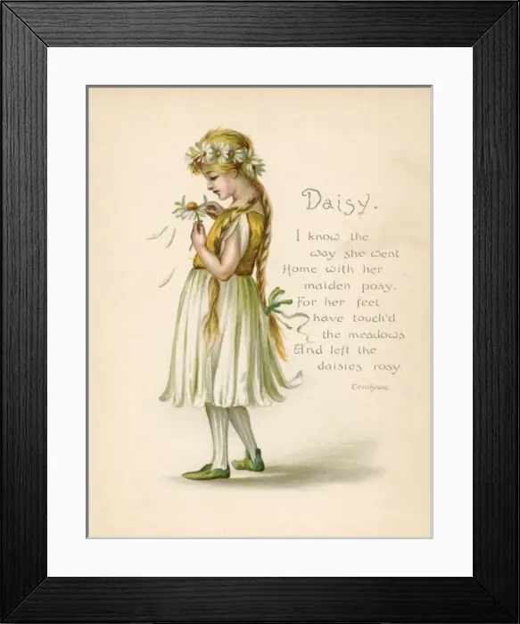 Framed Print : Daisy / Language of Flowers Framed Print : Daisy / Language of Flowers
