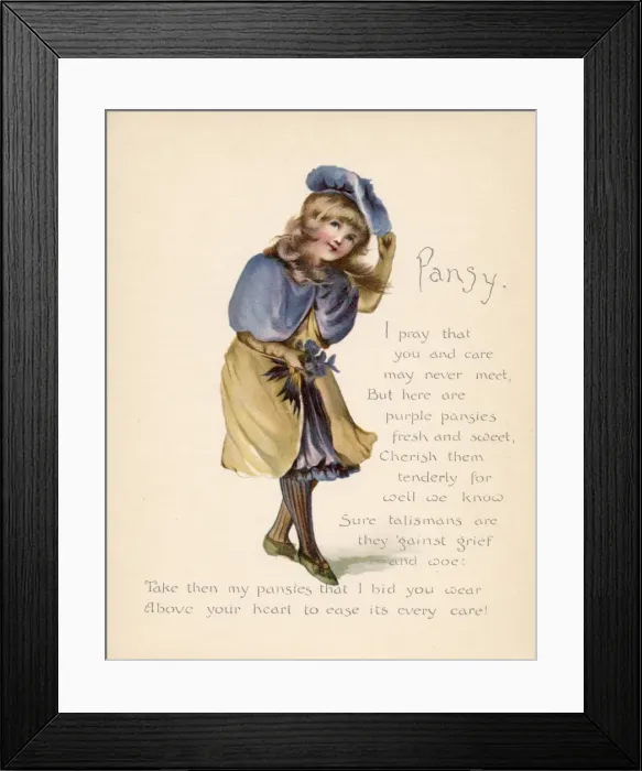 Framed Print : Pansy / Language of Flowers Framed Print : Pansy / Language of Flowers