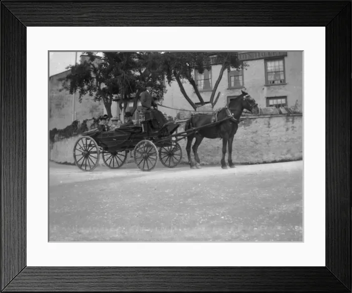 Framed Print : Horse and carriage, St Davids, Pembrokeshire, South Wales Framed Print : Horse and carriage, St Davids, Pembrokeshire, South Wales