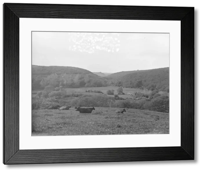 Framed Print : Treffgarne Gorge, Pembrokeshire, South Wales Framed Print : Treffgarne Gorge, Pembrokeshire, South Wales