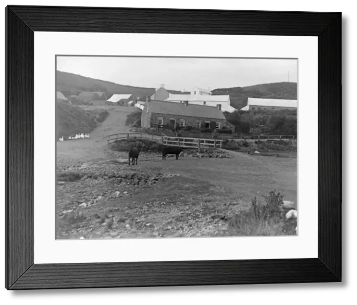 Framed Print : Farm at Nolton Haven, Pembrokeshire, South Wales Framed Print : Farm at Nolton Haven, Pembrokeshire, South Wales