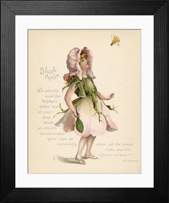 Framed Print : Blush Rose / Language of Flowers Framed Print : Blush Rose / Language of Flowers