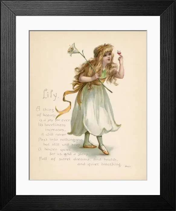 Framed Print : Lily / Language of Flowers Framed Print : Lily / Language of Flowers